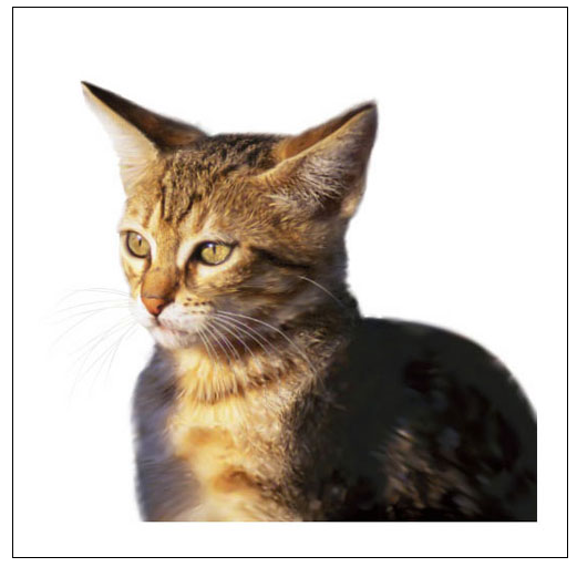 Cat from Hemmy.net/post on vector art Cat from Hemmy.net/post on vector art