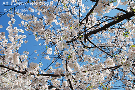 Cherry Blossoms. Photo by C. Ashley Spencer. Art Is Everywhere Cherry Blossoms. Photo by C. Ashley Spencer. Art Is Everywhere