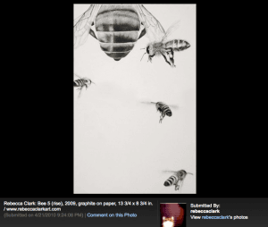 Bee-Rise5_Rebecca-Clark