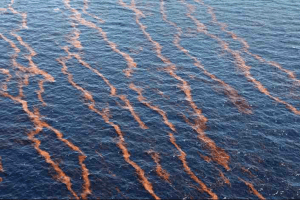 Oil-spill10_Gerald-Herbert_AP