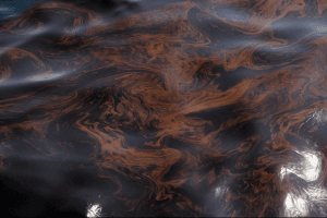 Oil-spill9_Patrick-Semansky_AP