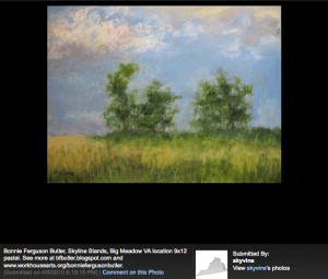 skyline-stands_bonnie-ferguson