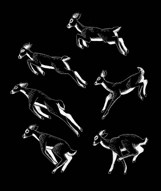 Deer_Brooke Dukart Deer_Brooke Dukart, as seen on Art Is Everywhere