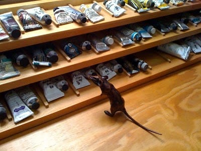 sprightly. photo via Jeffery Hayes as seen on Art Is Everywhere