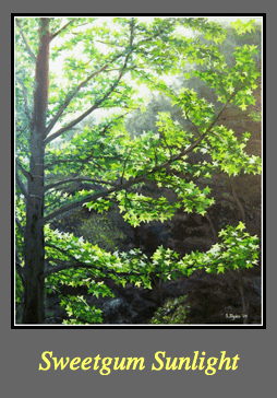 3_Steve Myles_Sweetgum Sunlight Steve Myles_Sweetgum Sunlight on Art Is Everywhere