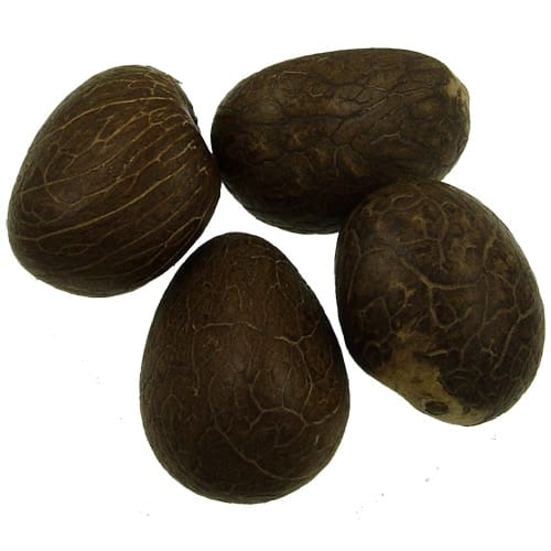 TAGUA-WHOLE-NUTS, as seen on Art Is Everywhere blog