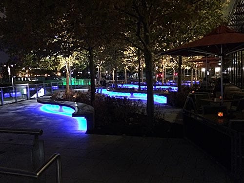Capitol Waterfront Walk Illuminated Trees_on Art is Everywhere