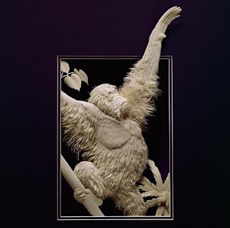 Orangutan_Paper Sculpture Calvin Nichols_AIE