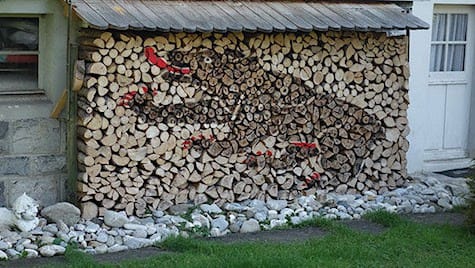 Bear Wood Pile_AIE