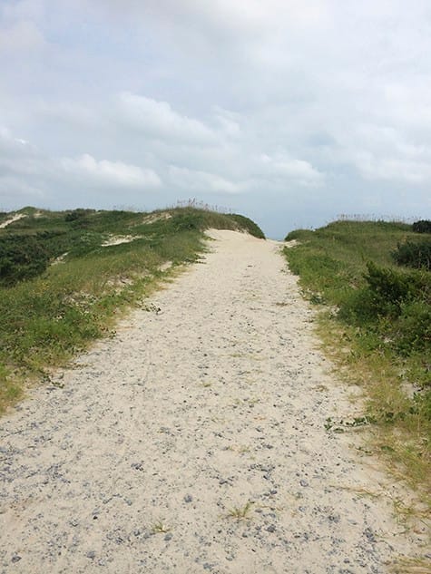 Beach-Path_on Art Is Everywhere