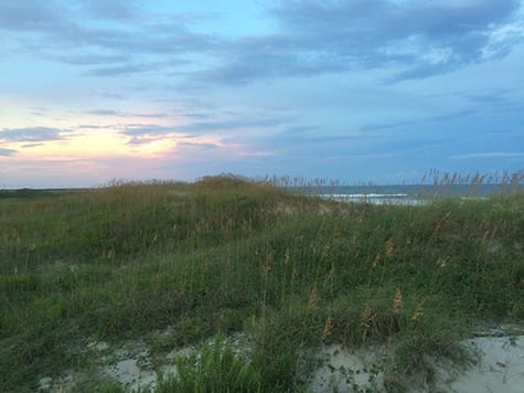 http://www.ashley-spencer.com/ArtIsEverywhere/wp-content/uploads/2017/08/Ocracoke-Dunes_on Art Is Everywhere
