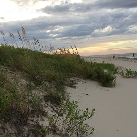 Ocracoke beach dunes_on Art Is Everywhere